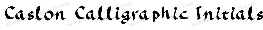 Caslon Calligraphic Initials字体转换